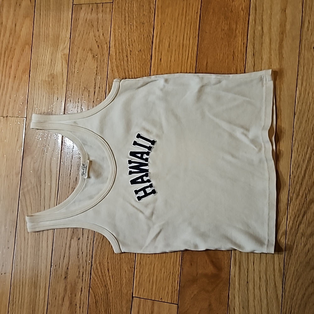 John Galt/Brandy Melville Pac Sun Crop Tank One Size